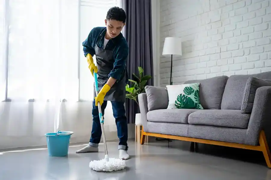 Reliable Home Cleaner in Graysville, TN